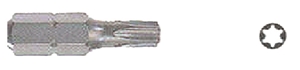 Bits med M-6 gänga Torx-25